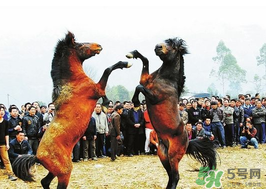 三月三有什么禁忌？三月三有什么講究？