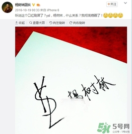 楊樹林口紅是什么牌子？楊樹林口紅是哪個國家的？