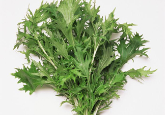 艾草是寒性的嗎？艾草是涼性的嗎？