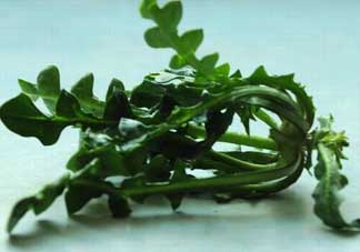 乙肝能吃薺菜嗎？乙肝病人可以吃薺菜嗎？