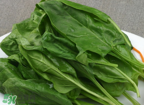 菠菜汁和面菠菜還焯嗎？菠菜汁和面需要焯水嗎？