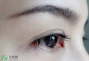 serge lutens蘆丹氏睫毛膏怎么樣？蘆丹氏睫毛膏好不好用？