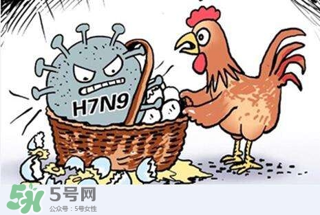 怎樣預(yù)防禽流感？如何預(yù)防禽流感
