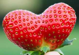 清明節(jié)還有草莓嗎？清明節(jié)的草莓能吃嗎？