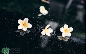 三月份為什么一直下雨？2017年三月份為什么雨多？