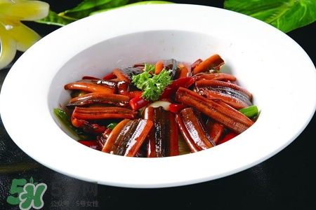 黃鱔如何養(yǎng)？黃鱔怎樣養(yǎng)才不會(huì)死？