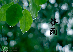 2017年谷雨是幾月幾號？2017年谷雨是哪一天？