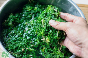 薺菜怎么腌制？薺菜的腌制方法