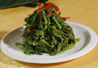 蕨菜什么人不能吃？哪些人不能吃蕨菜？
