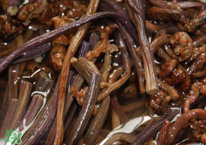 蕨菜能吃嗎？蕨菜可以吃嗎？