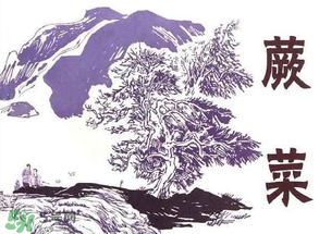 吃蕨菜會過敏嗎？皮膚過敏能吃蕨菜嗎？