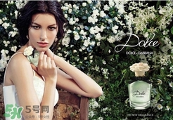 dolce gabanna香水哪款好聞？DG杜嘉班納香水推薦