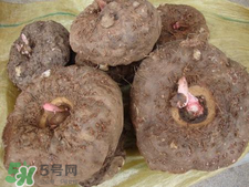 魔芋什么味道？怎么去除魔芋味道？