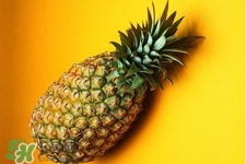過(guò)敏性鼻炎可以吃菠蘿嗎？過(guò)敏性鼻炎能不能吃菠蘿？
