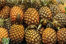 過(guò)敏性鼻炎可以吃菠蘿嗎？過(guò)敏性鼻炎能不能吃菠蘿？
