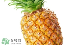 過(guò)敏性鼻炎可以吃菠蘿嗎？過(guò)敏性鼻炎能不能吃菠蘿？