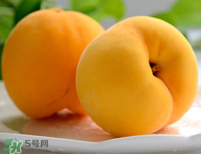 黃桃為什么那么貴？黃桃為什么這么貴？