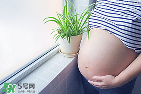 孕婦可以做美甲嗎？美甲對(duì)孕婦有什么影響？