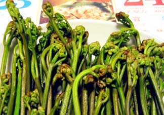 蕨菜有毒嗎？吃蕨菜會中毒嗎？