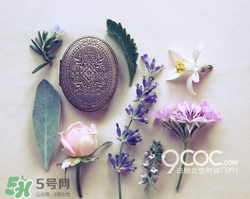 2017固體香膏哪個(gè)牌子好？2017固定香膏排行榜