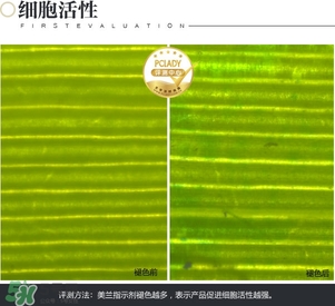 cpb保濕露多少錢？cpb保濕露專柜價(jià)格