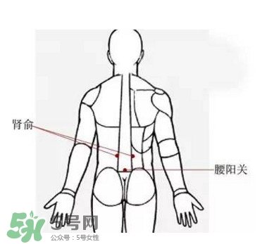 艾灸能減肥嗎？艾灸能不能減肥