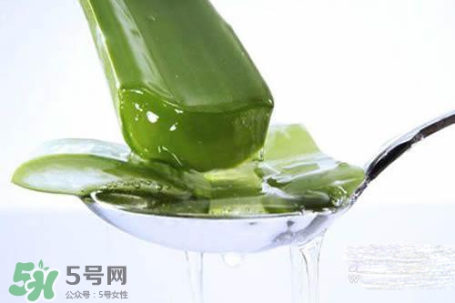 黃瓜水和蘆薈水哪個好？黃瓜水和蘆薈水功效區(qū)別