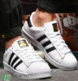 adidas貝殼頭正品多少錢？阿迪達斯貝殼頭鞋專柜價格