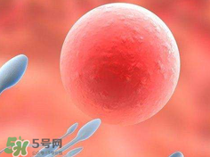 捐20顆卵子會怎么樣？捐20顆卵子有什么后果？
