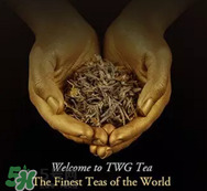 twg茶哪個(gè)最經(jīng)典？twg茶葉哪個(gè)好喝？