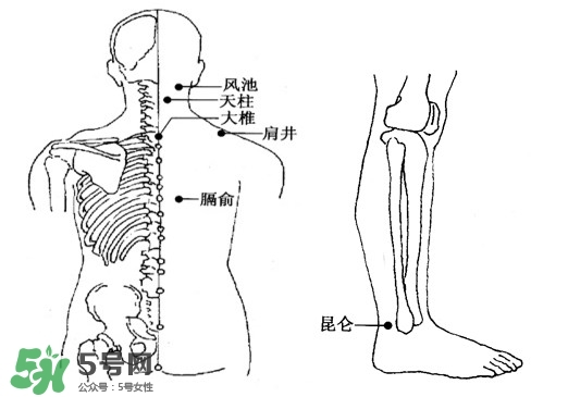 刮痧能治頸椎病嗎？頸椎病刮痧正確圖片