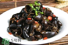 黑木耳是菌類的嗎？黑木耳屬于菌類嗎？