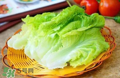 生菜可以放冰箱嗎？生菜可以放冰箱多久？