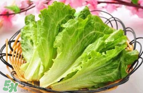 生菜可以放冰箱嗎？生菜可以放冰箱多久？