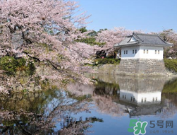 5月份去日本穿什么？五月份去日本穿什么衣服？