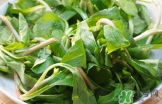 竹節(jié)草的營養(yǎng)價(jià)值_竹節(jié)草的功效與作用及食用方法