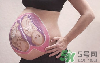 妊娠線看可以看胎兒性別嗎？妊娠線看可以男女嗎？