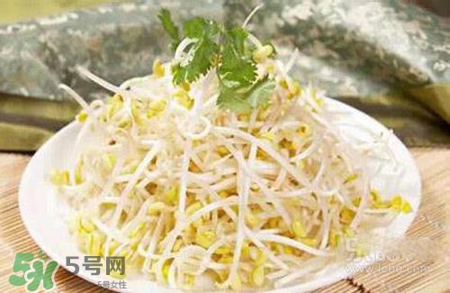 黃豆芽熱量高嗎？吃黃豆芽會長胖嗎？