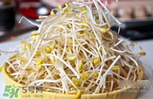 黃豆芽熱量高嗎？吃黃豆芽會長胖嗎？