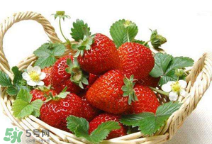五月份還有草莓嗎？5月份還有草莓嗎？