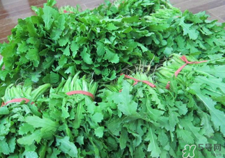 罌粟苗能當(dāng)菜吃嗎？罌粟苗可以當(dāng)菜吃嗎？
