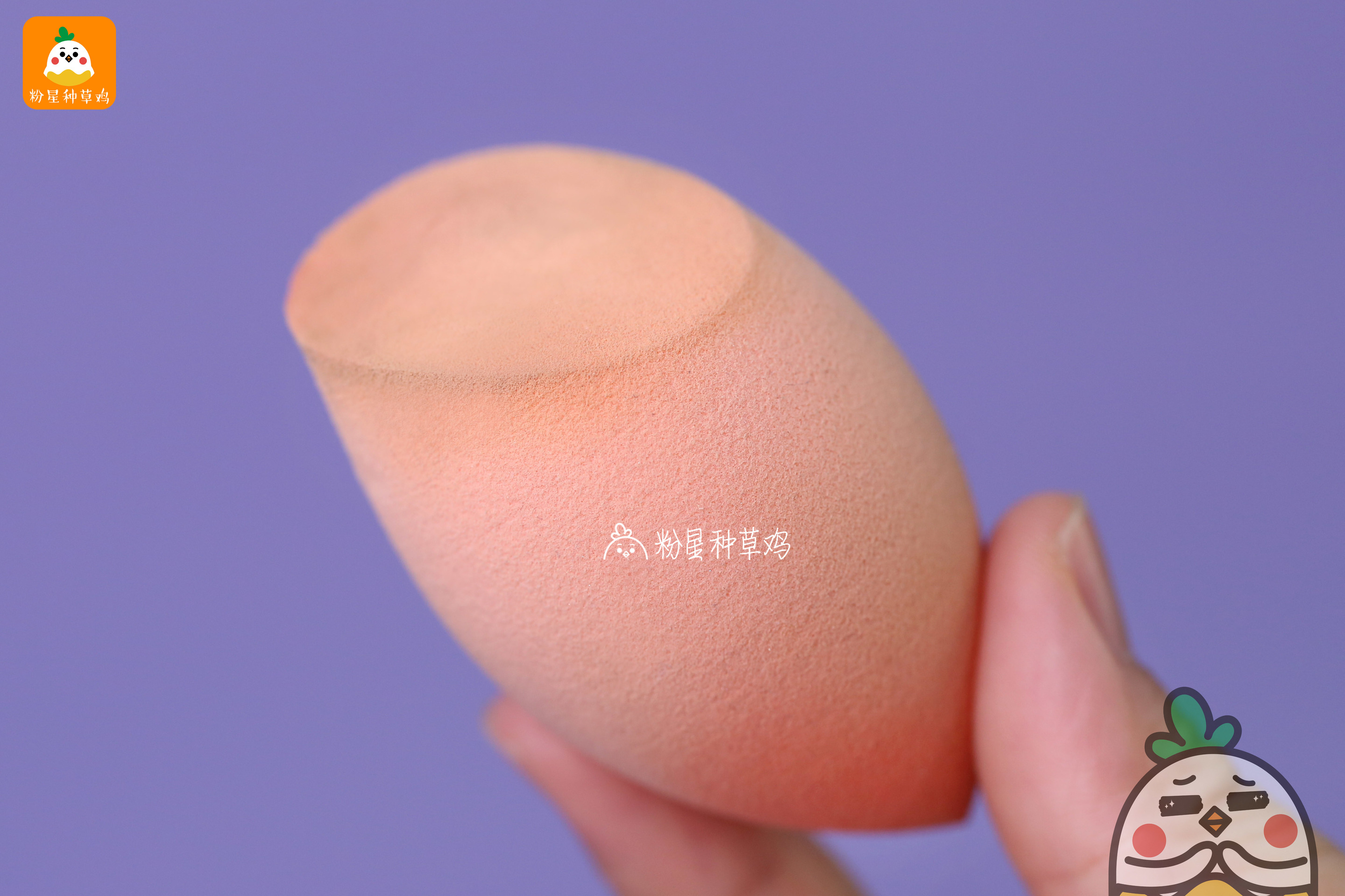 beauty blender美妝蛋和rt美妝蛋哪個好？