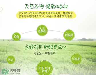 禧貝米粉二段味道怎么樣？禧貝米粉二段味道如何？