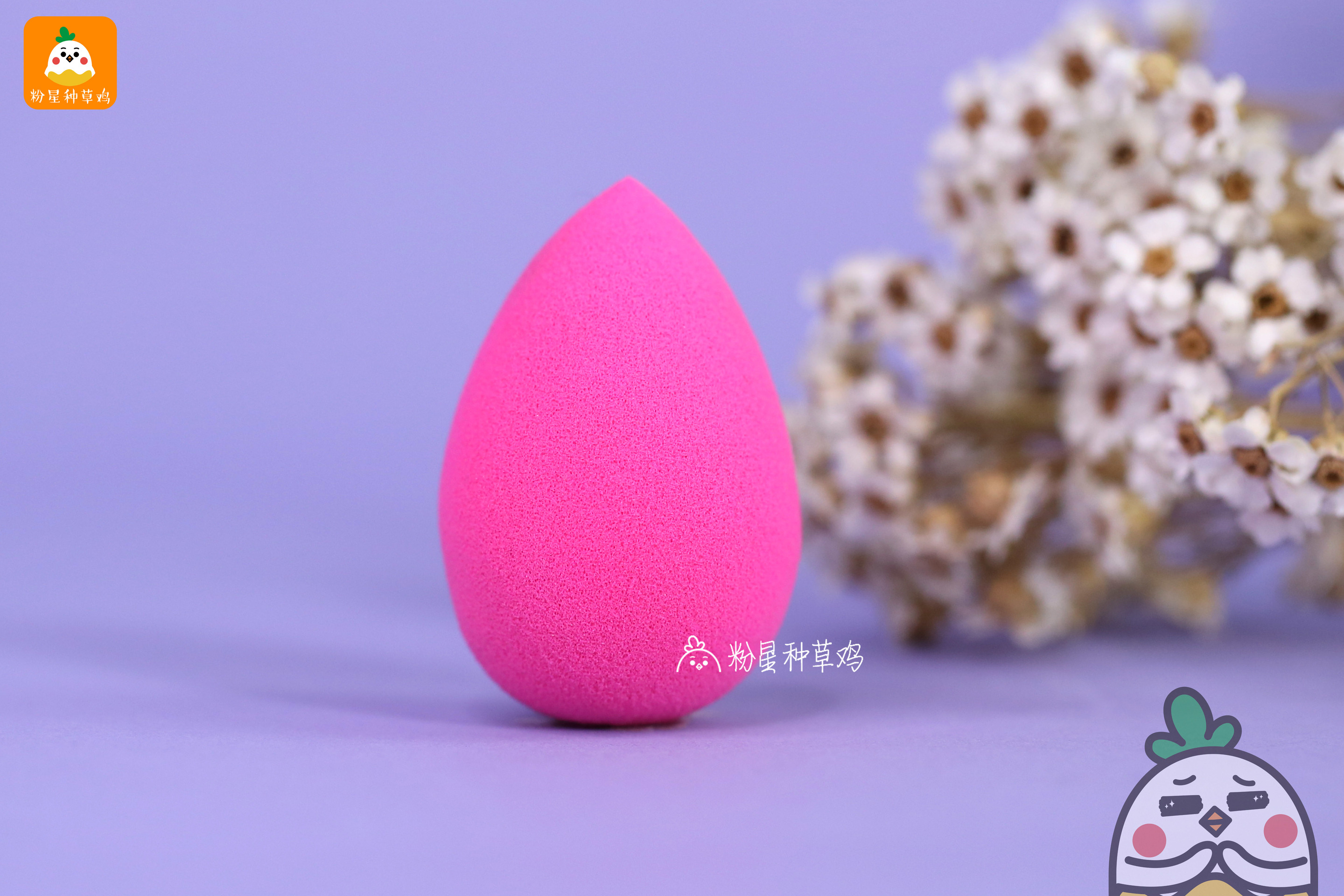 beauty blender美妝蛋和rt美妝蛋哪個好？