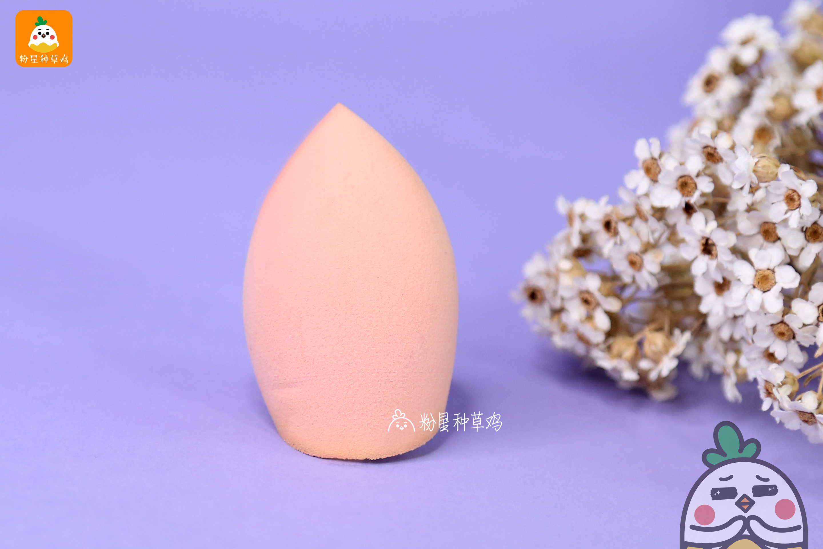 beauty blender美妝蛋和rt美妝蛋哪個好？