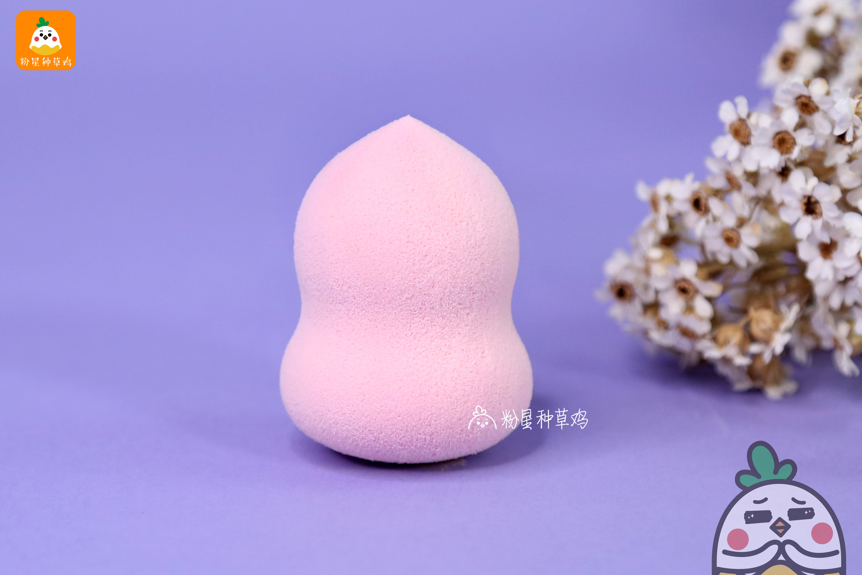 beauty blender美妝蛋和rt美妝蛋哪個好？