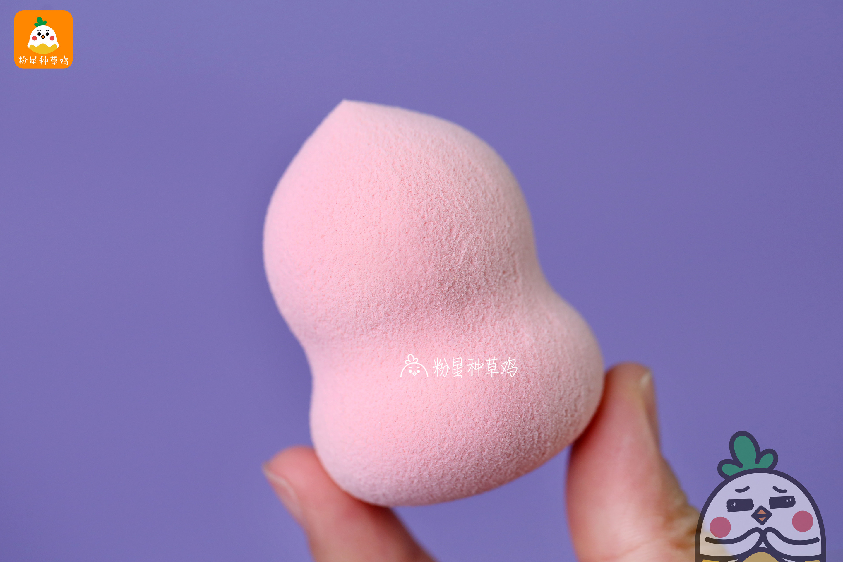 beauty blender美妝蛋和rt美妝蛋哪個好？