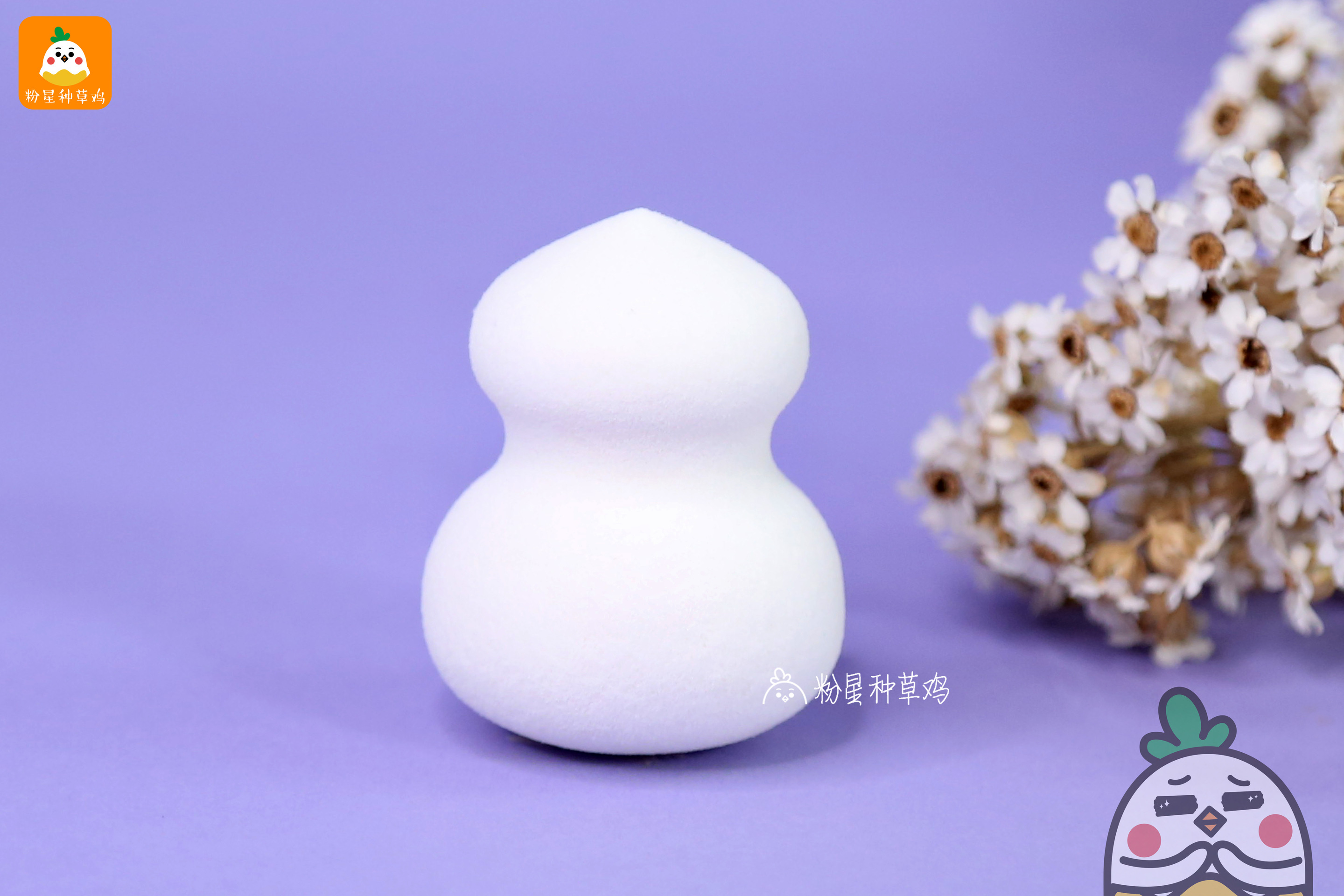 beauty blender美妝蛋和rt美妝蛋哪個好？