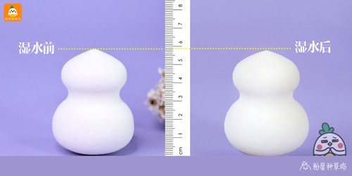 beauty blender美妝蛋和rt美妝蛋哪個好？