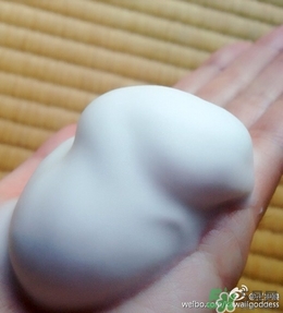 Rafra是什么牌子？是什么檔次？